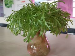 -多呗辣麻辣香锅(万达广场店)
