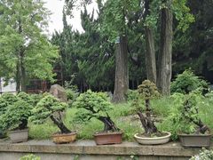 -苏州文庙(姑苏区)