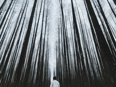-山王坪喀斯特国家生态公园