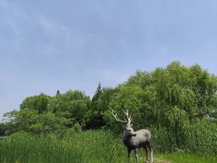 -溱湖国家湿地公园