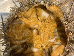 -海胆小馆(东北水饺·春柳店)