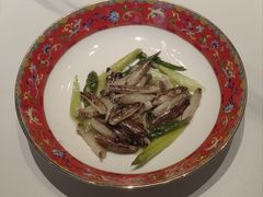 -新光酒家·河豚·海鲜·蟹料理(浦东店)