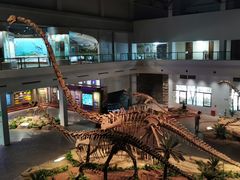 -自贡恐龙博物馆