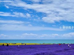 -青海湖国家重点风景名胜区