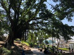 -番茄屋葡式美食(总店)
