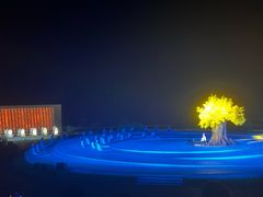 -鼎盛王朝康熙大典实景演出