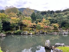 -天龙寺