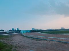 -蒙古大营·蒙古演绎餐厅(赛马场店)