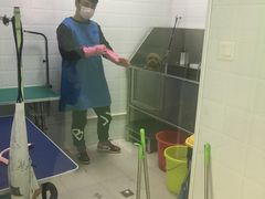 -圣宠动物医院·犬猫专科·影像中心·外科中心