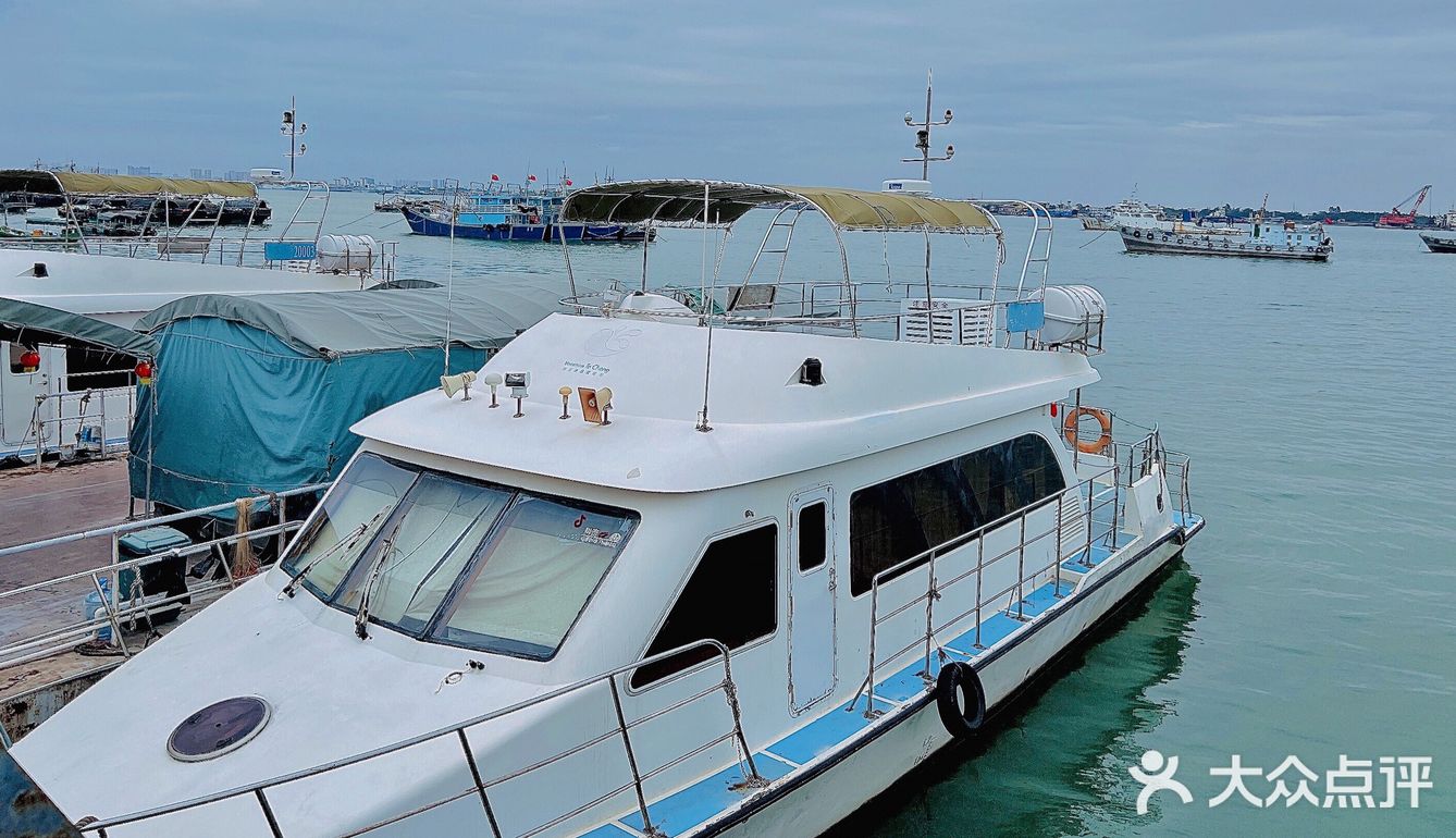 湛江｜别有一番风味[礼花][加油]