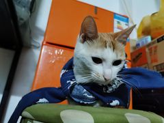 -广福记冒菜(新光店)