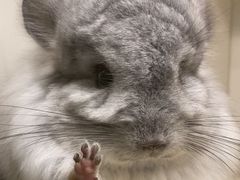 -龙猫仔乐园(惠福东路店)