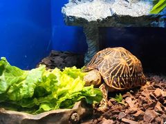 -上海海洋水族馆