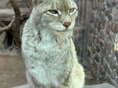 -青藏高原野生动物园