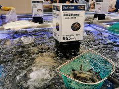 -盒马X会员店(上海森兰商都店)