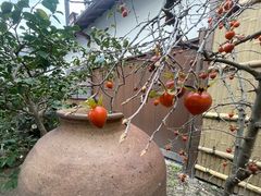 -中村藤吉(本店)