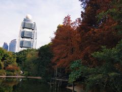 -深圳国际园林花卉博览园