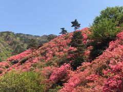-木兰云雾山