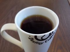 -命运咖啡馆Destiny Coffee