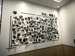 -瑞派·关忠动物医院·猫专科·犬专科(三环新城店)