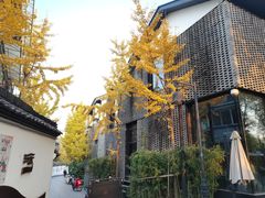 -运河游船(武林门码头)