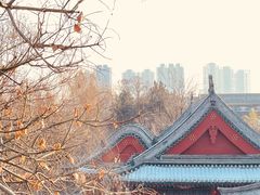 -莲池书院博物馆