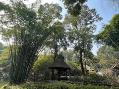 -成都杜甫草堂博物馆