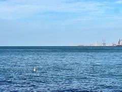 -悦海公园