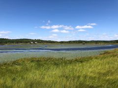 -塞罕坝国家级自然保护区