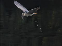 -重庆彩云湖湿地公园