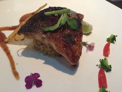 -绿茵阁牛扒餐厅(客村店)