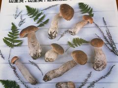 -菌自由丨野生菌火锅特色庭院餐厅(丽江古城店)