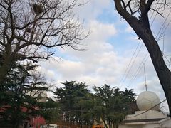 -观象山公园
