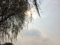 -祥源·阜阳生态乐园