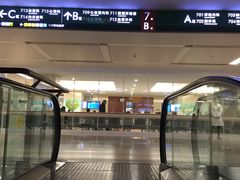-中国人民解放军总医院(301医院)
