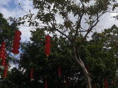 -番禺大夫山森林公园