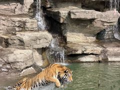 -宁波野生动物园