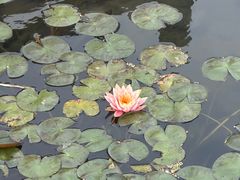 -厦门园林博览苑