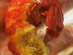 -杨氏青龙虾·羊蝎子(托乐嘉店)