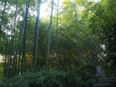 -杭州黄龙洞