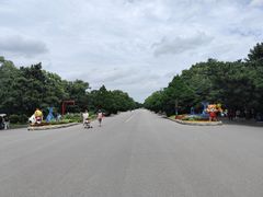 -北陵公园