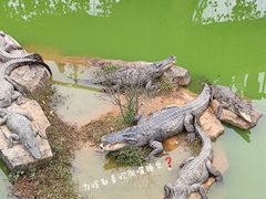 -南昌动物园