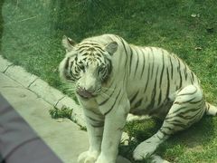 -北京野生动物园