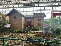 -兰陵国家农业公园
