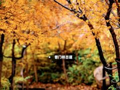 -云峰山自然风景区