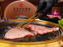 -杨小佳·齐齐哈尔烤肉·烤串(广州店)