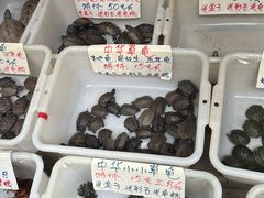 -高淳老街