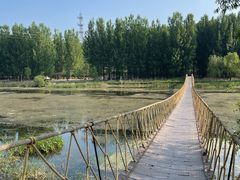 -白河湾生态旅游一条川