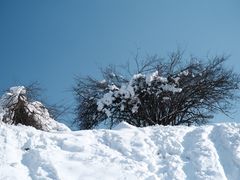 -太子岭滑雪场