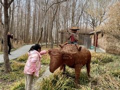 -溱湖国家湿地公园